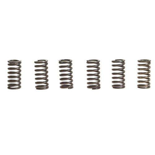Clutch springs kit trw - kit,
